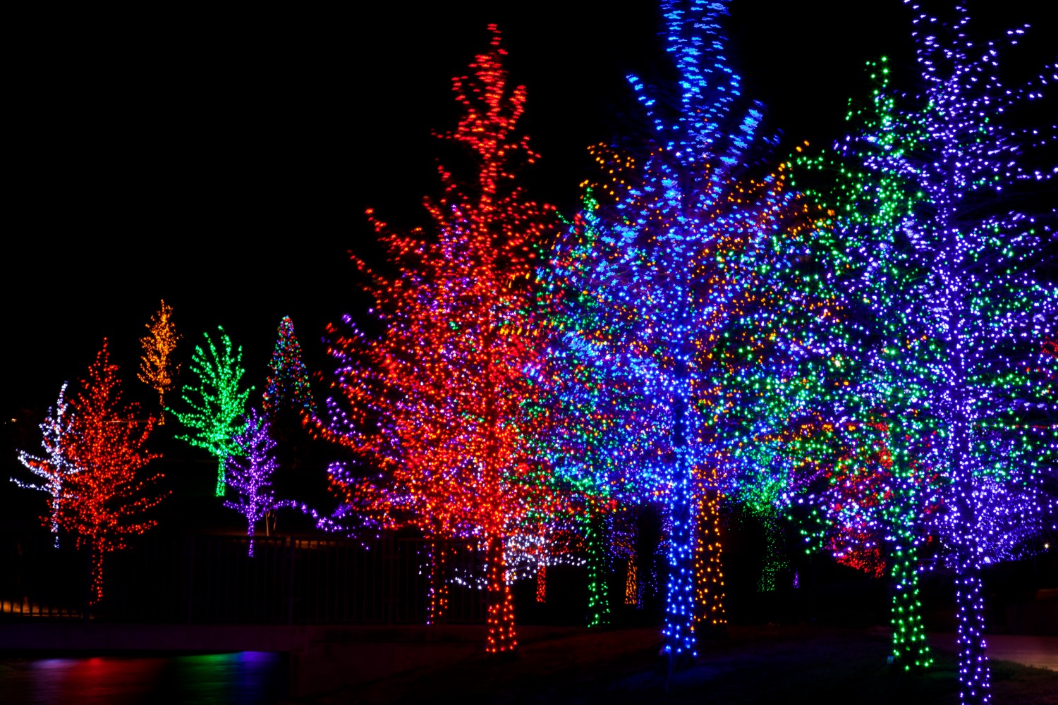 Why You Need to Go to the James Island County Park Festival of Lights