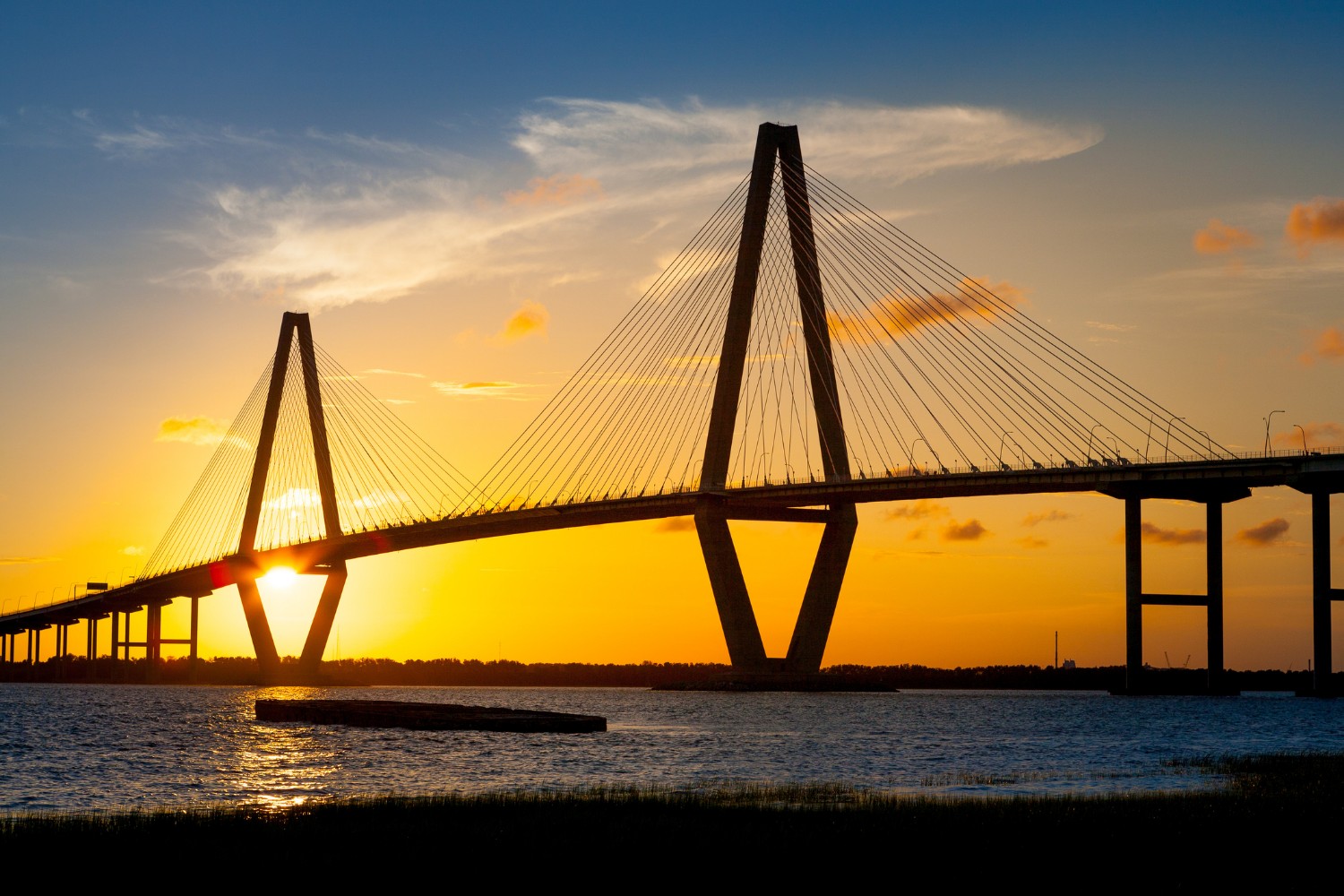 Here’s What You Need to Know About the Cooper River Bridge Run