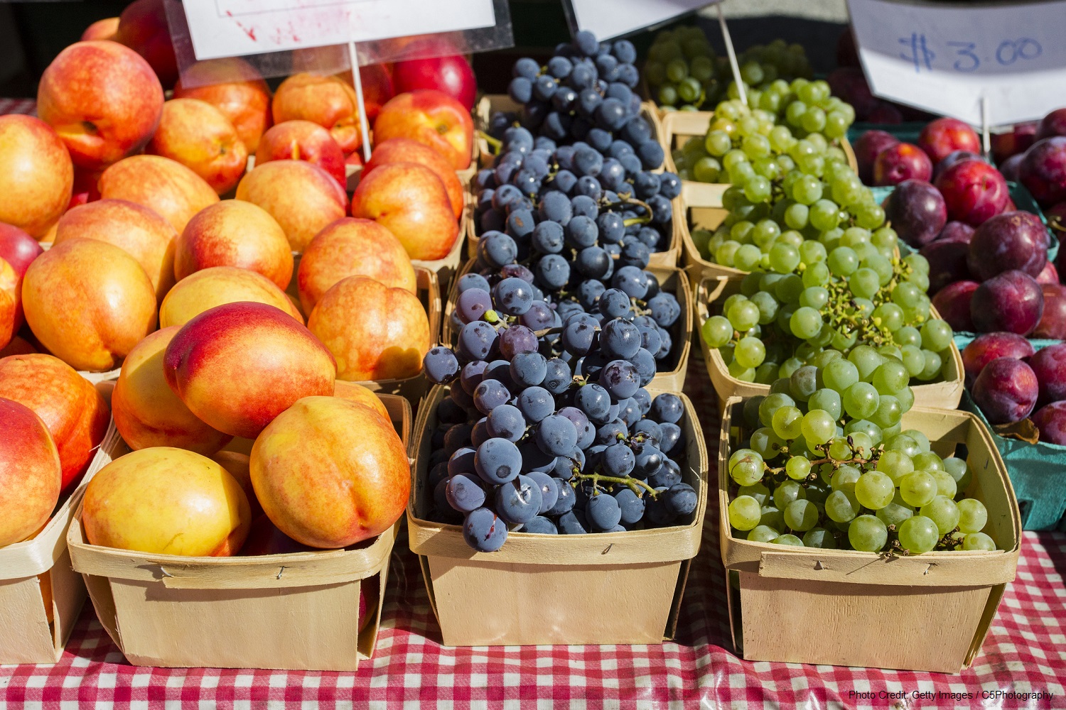 Here’s Why You Need to Stop by the Mount Pleasant Farmers Market
