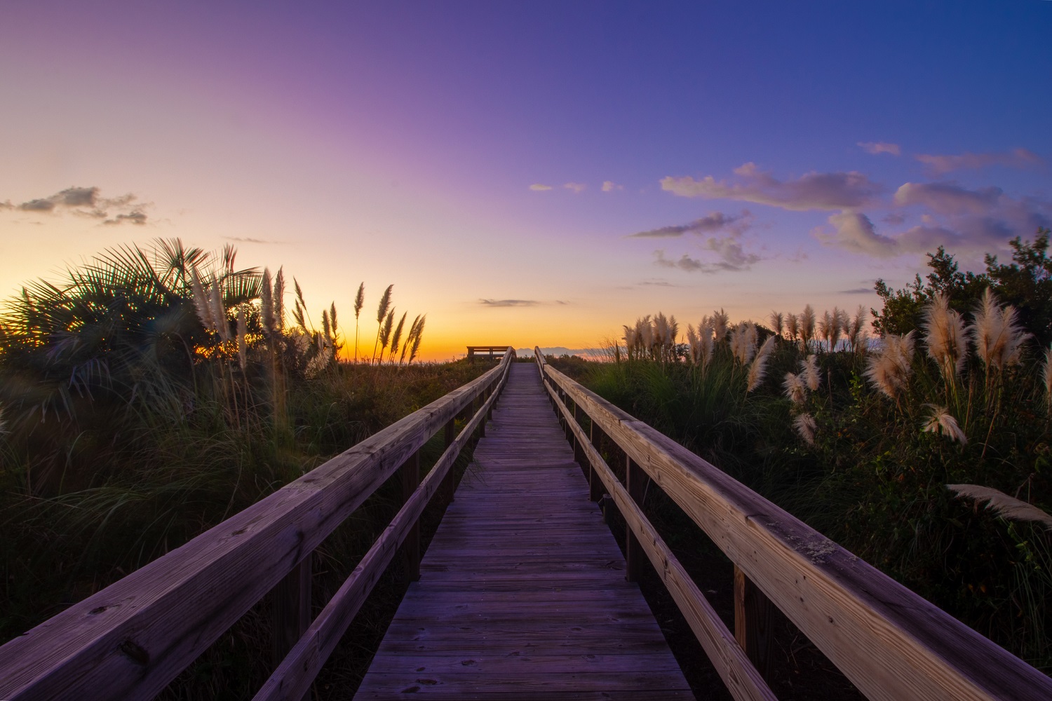 3 of the Best Beaches in South Carolina for Families
