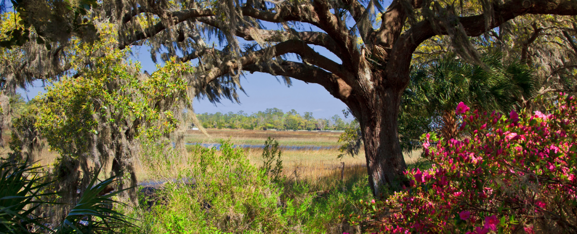 Your Ultimate Guide to Living in Charleston: Which Beach Town is Best for Me?