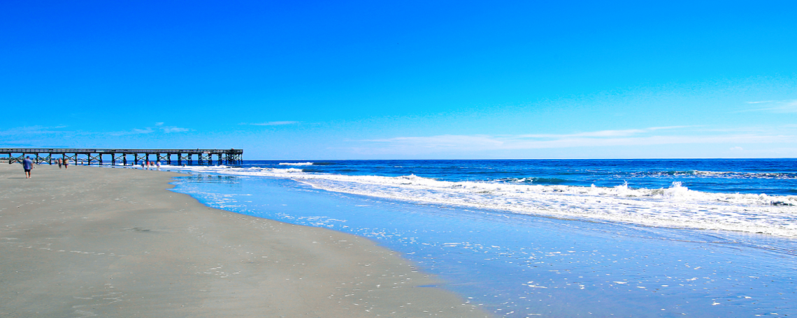 Here are the top ways to enjoy Charleston Eco-Friendly style! 